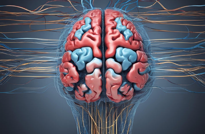 Beyond Weight Loss: The Brain Benefits (and more) of Keto