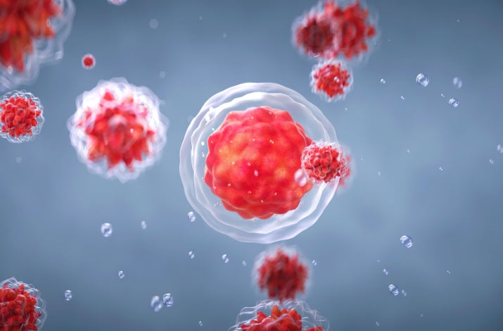 The Silent Threat of Oxidative Stress